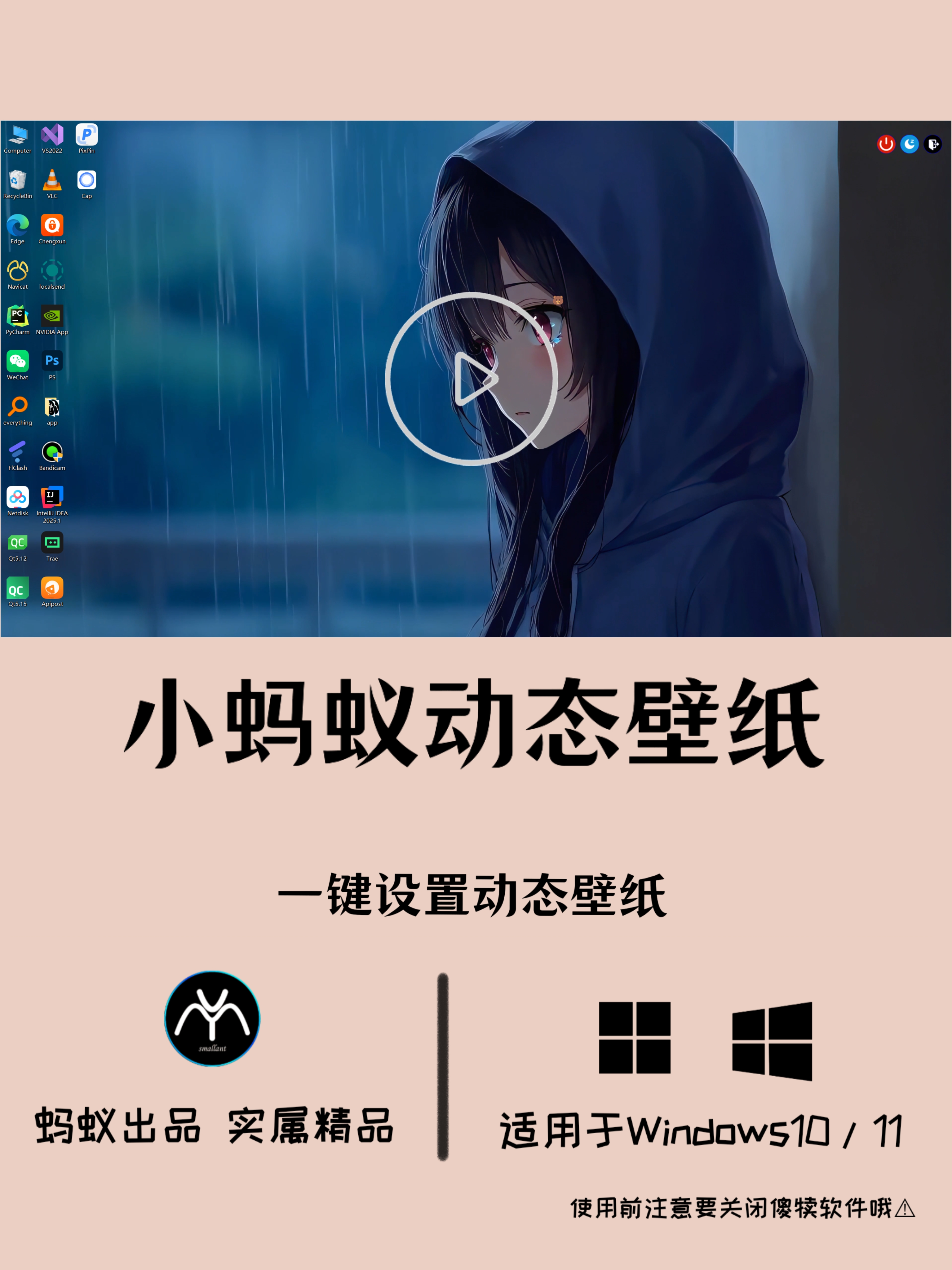 小蚂蚁动态壁纸